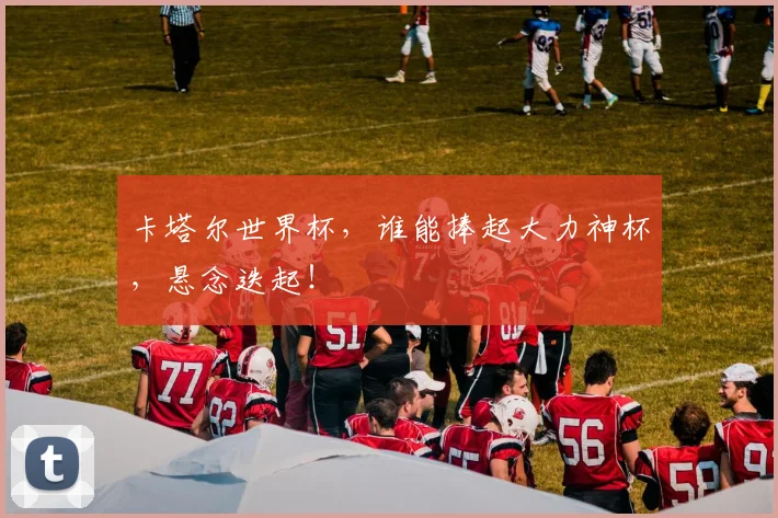 卡塔尔世界杯，谁能捧起大力神杯，悬念迭起！