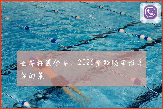世界杯圆梦季，2026金靴赔率谁是你的菜