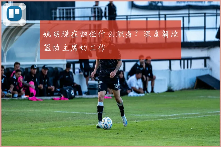 姚明现在担任什么职务？深度解读篮协主席的工作